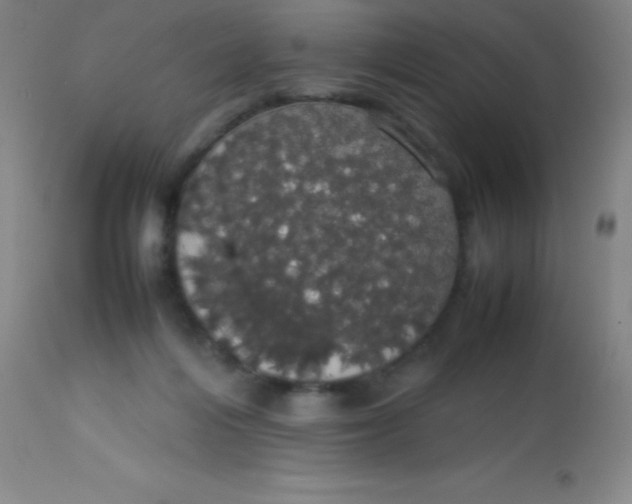 X0000113850216200910151220