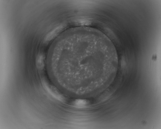 X0000113850218200910151220