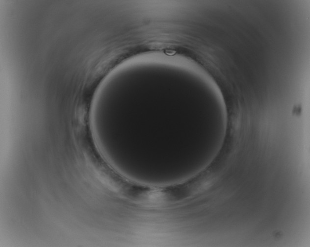 X0000113850219200910151220