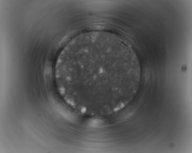 X0000113850220200910151220