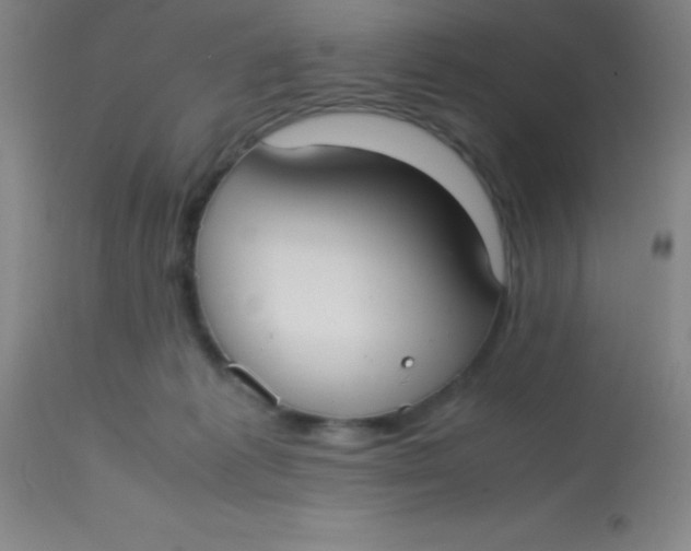 X0000113850221200910151220