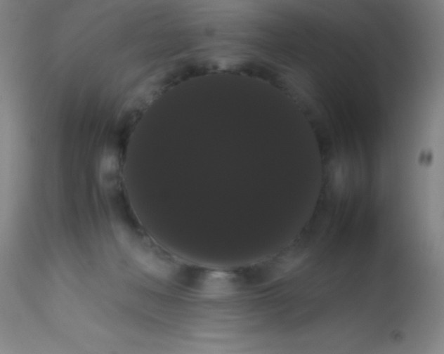 X0000113850222200910151220