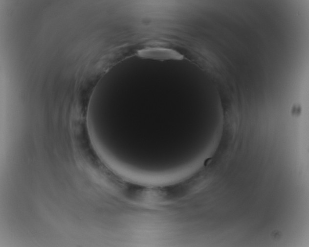 X0000113850223200910151220