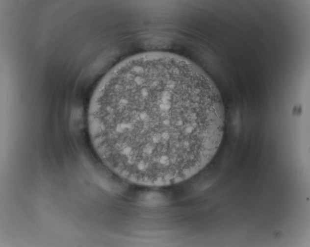 X0000113850224200910151220