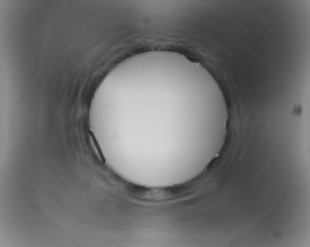 X0000113850225200910151220