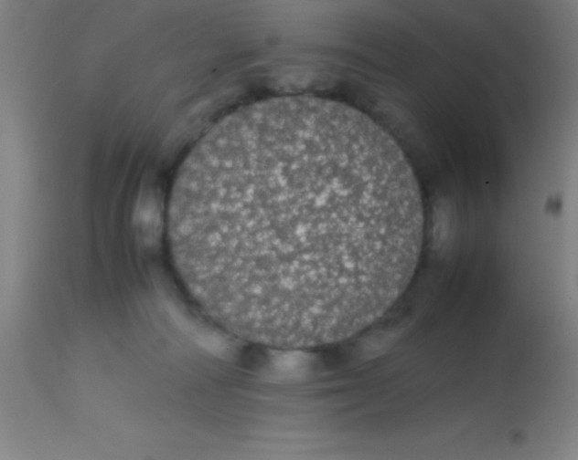 X0000113850226200910151220