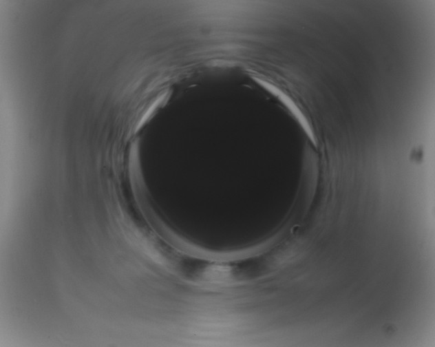 X0000113850227200910151220