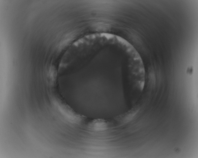 X0000113850228200910151220