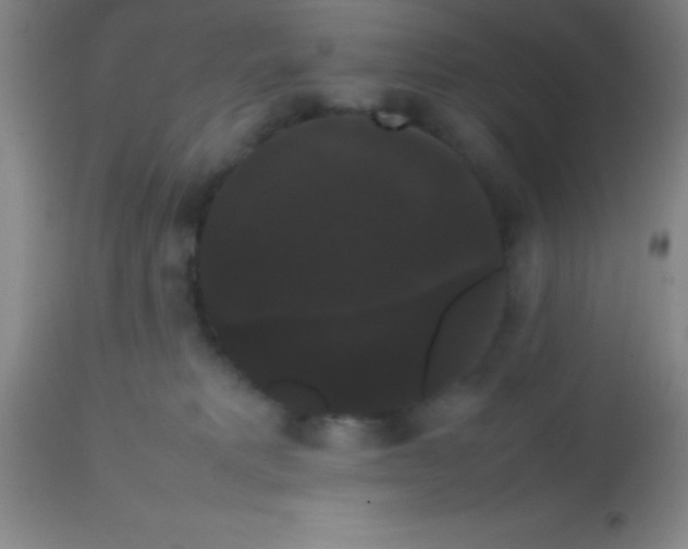 X0000113850229200910151220