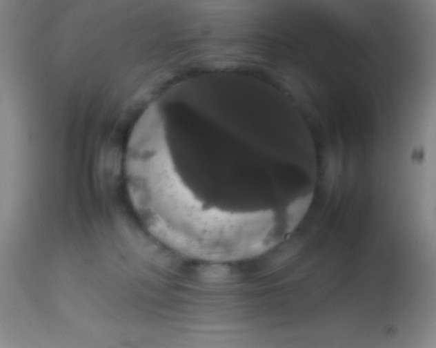 X0000113850230200910151220