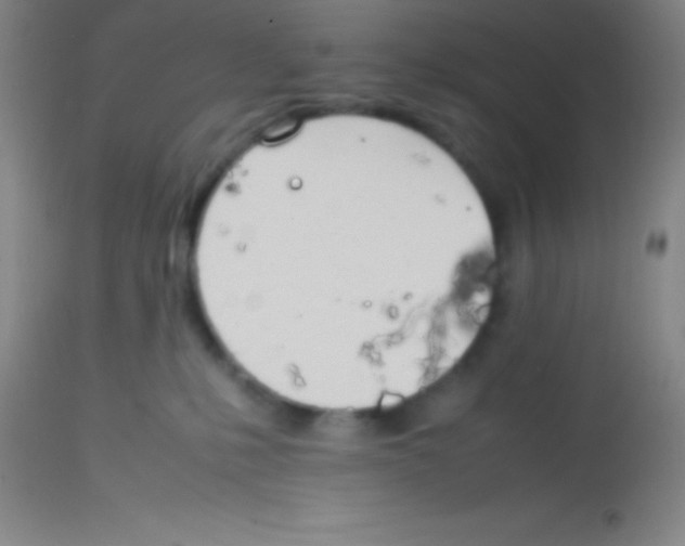 X0000113850231200910151220