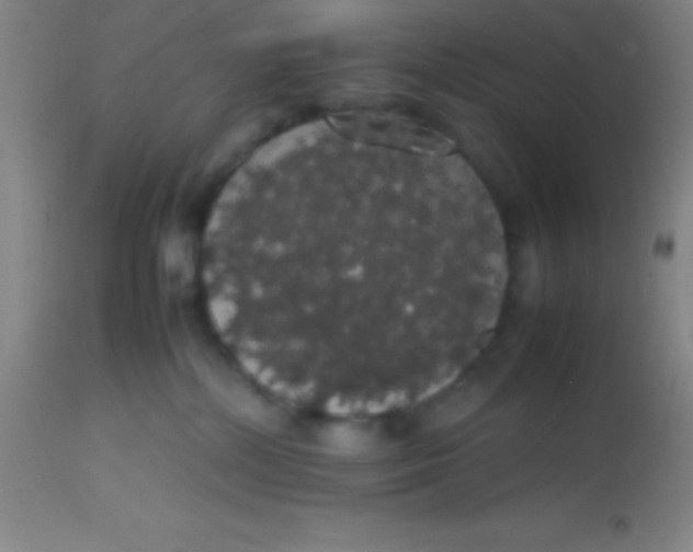 X0000113850232200910151220