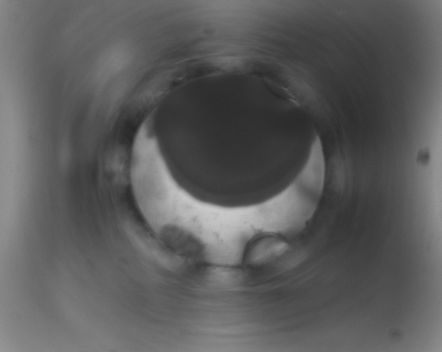 X0000113850234200910151219