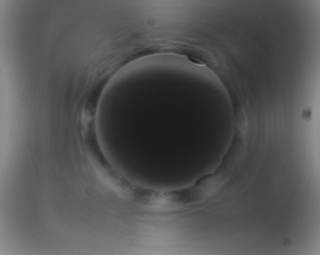 X0000113850235200910151219