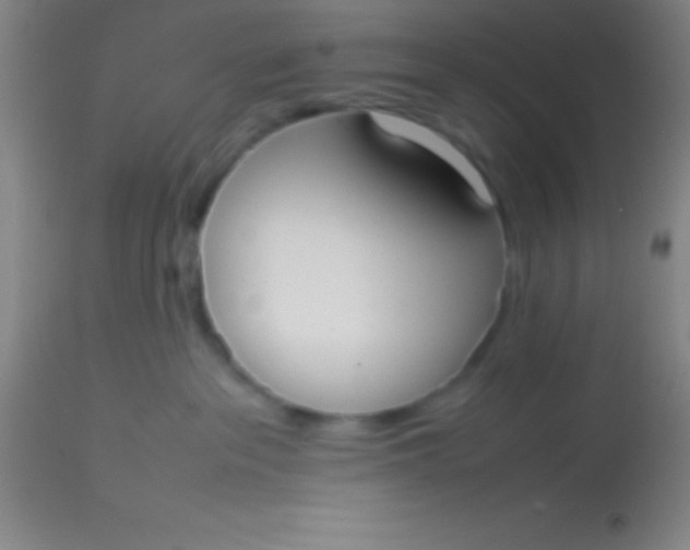 X0000113850237200910151219