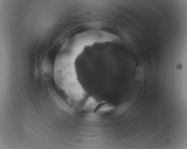 X0000113850238200910151219