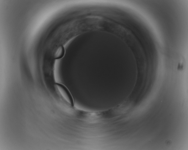 X0000113850239200910151219