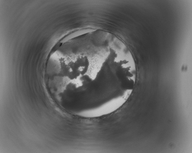 X0000113850241200910151219