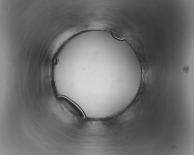 X0000113850244200910151219