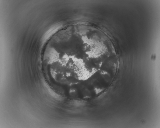 X0000113850245200910151219