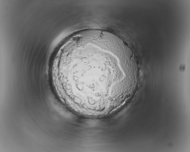 X0000113850246200910151219