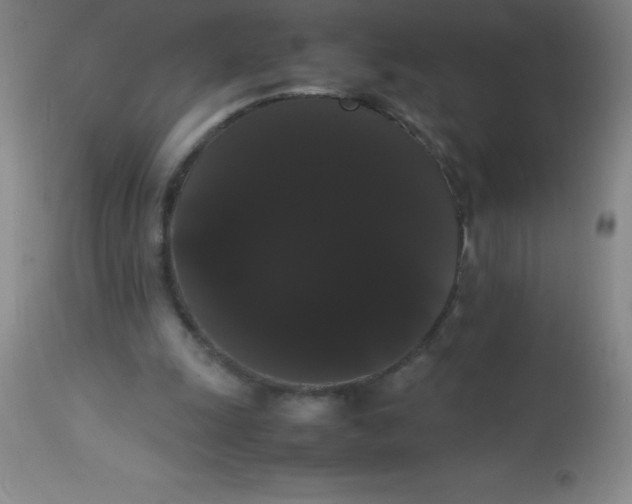 X0000113850247200910151219