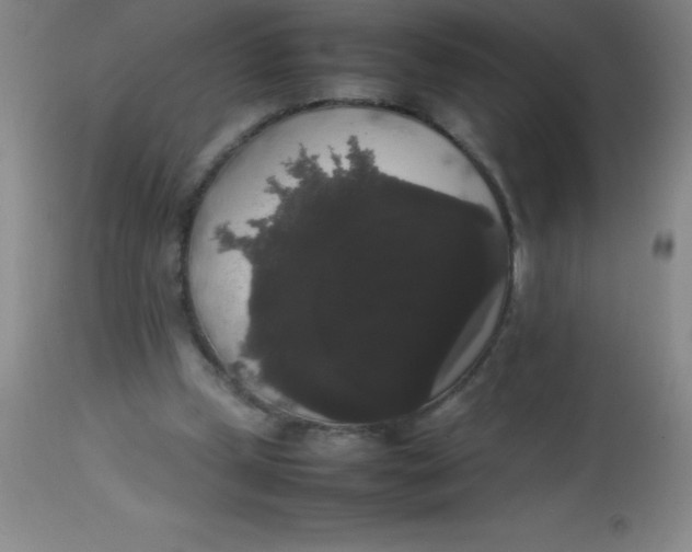 X0000113850249200910151219