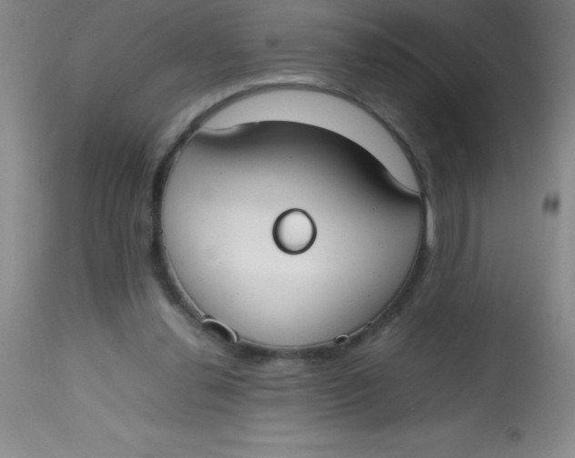 X0000113850252200910151219