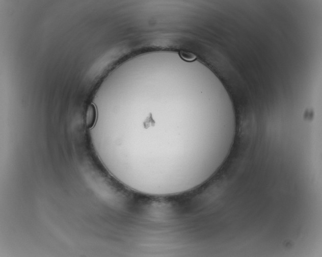 X0000113850256200910151219