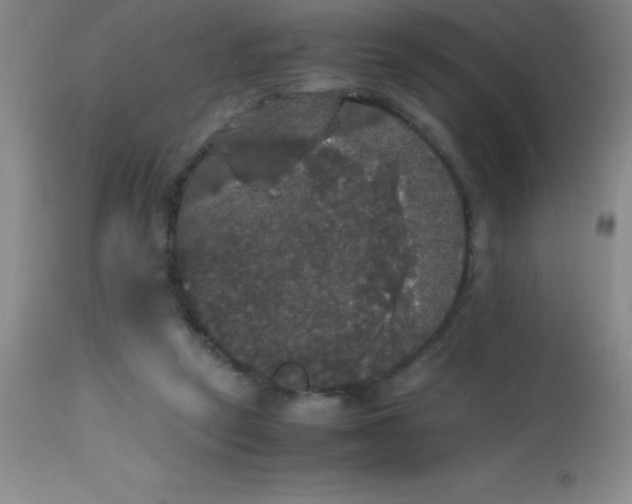 X0000113850257200910151219