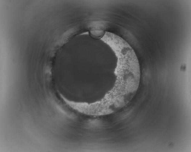 X0000113850259200910151219