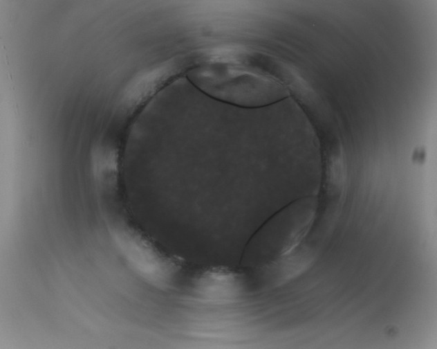 X0000113850260200910151219