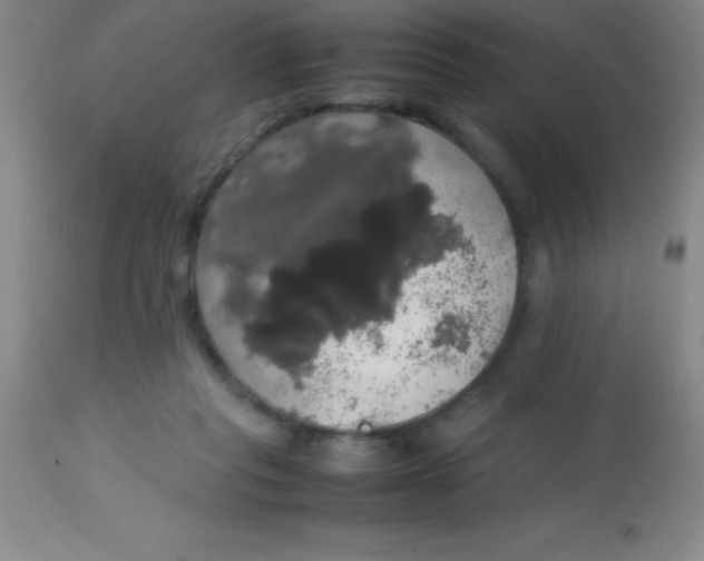 X0000113850261200910151219