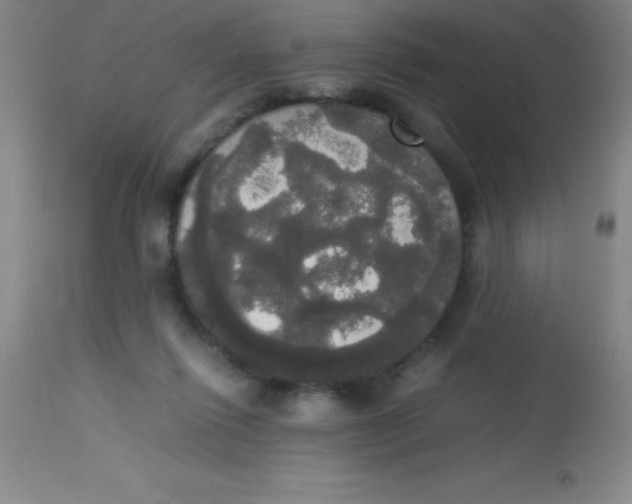 X0000113850262200910151219