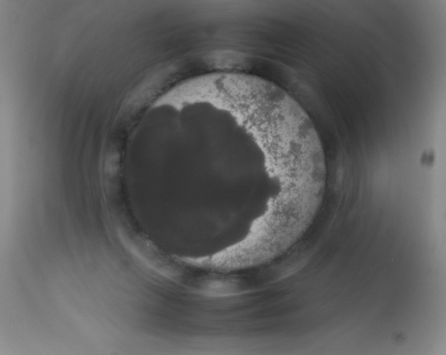 X0000113850263200910151219