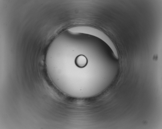 X0000113850264200910151219