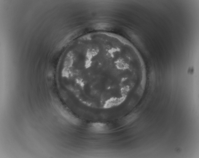 X0000113850265200910151219