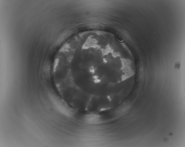 X0000113850266200910151219