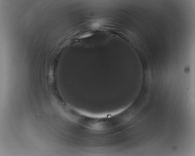 X0000113850267200910151219