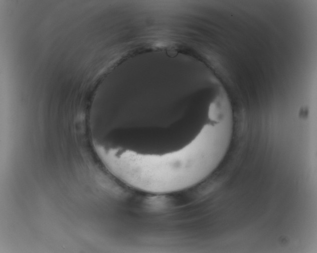 X0000113850269200910151219