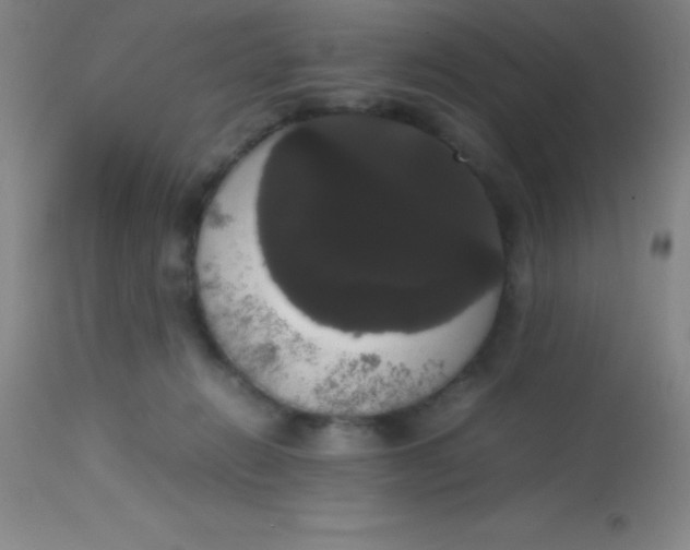 X0000113850270200910151219