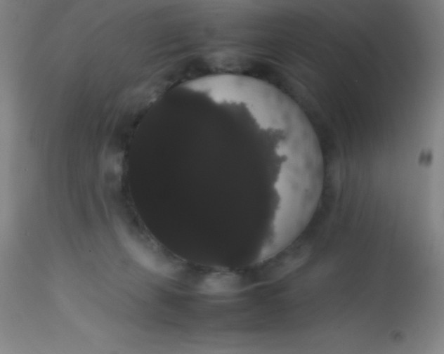 X0000113850271200910151219