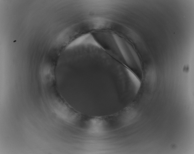 X0000113850272200910151219