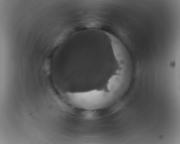 X0000113850273200910151219