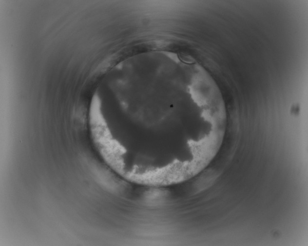 X0000113850274200910151219