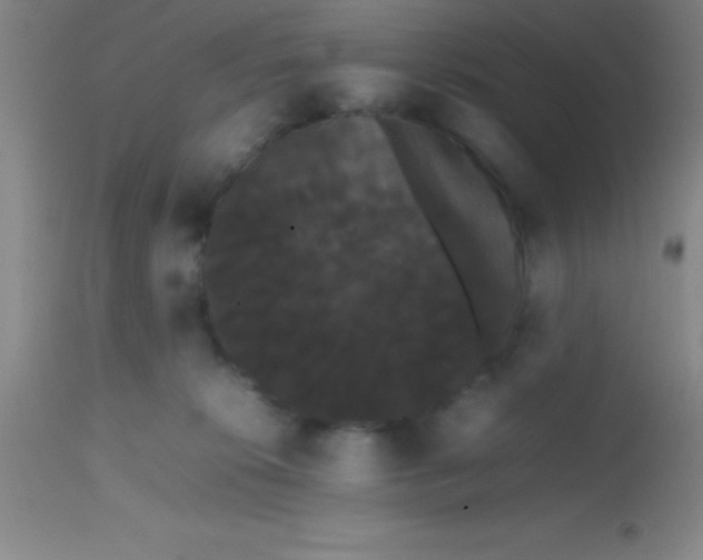 X0000113850276200910151219