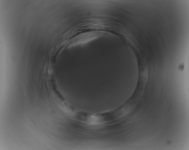 X0000113850277200910151219