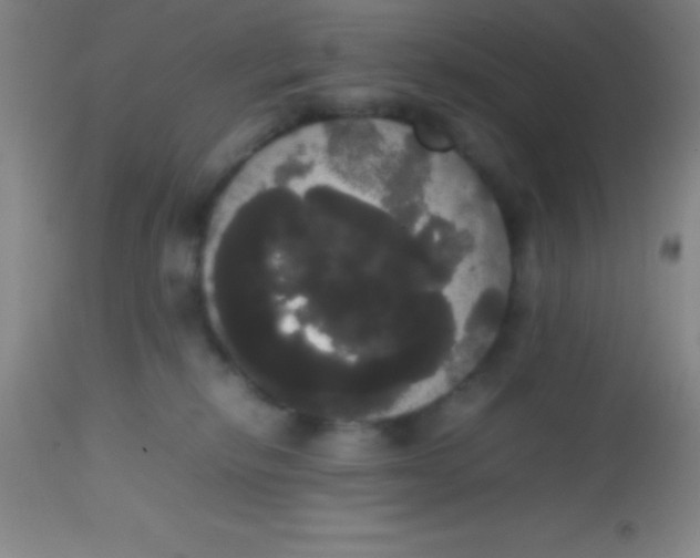 X0000113850278200910151219