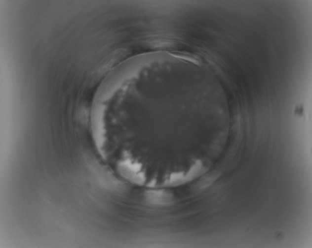 X0000113850281200910151219