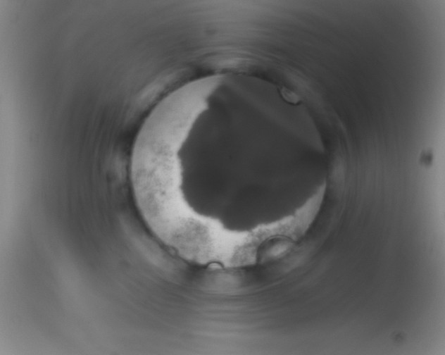 X0000113850282200910151219